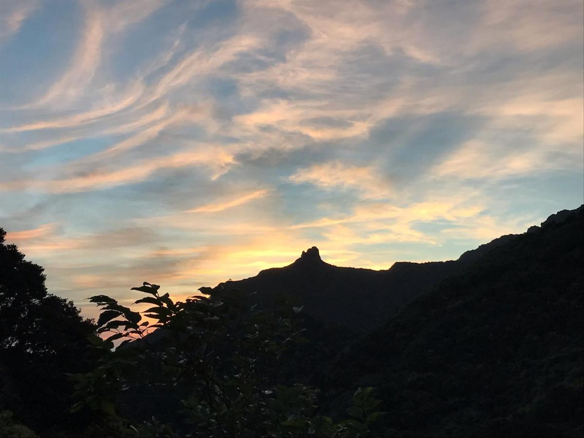 Jiufen Wangqin Sea View Homestay Eksteriør bilde